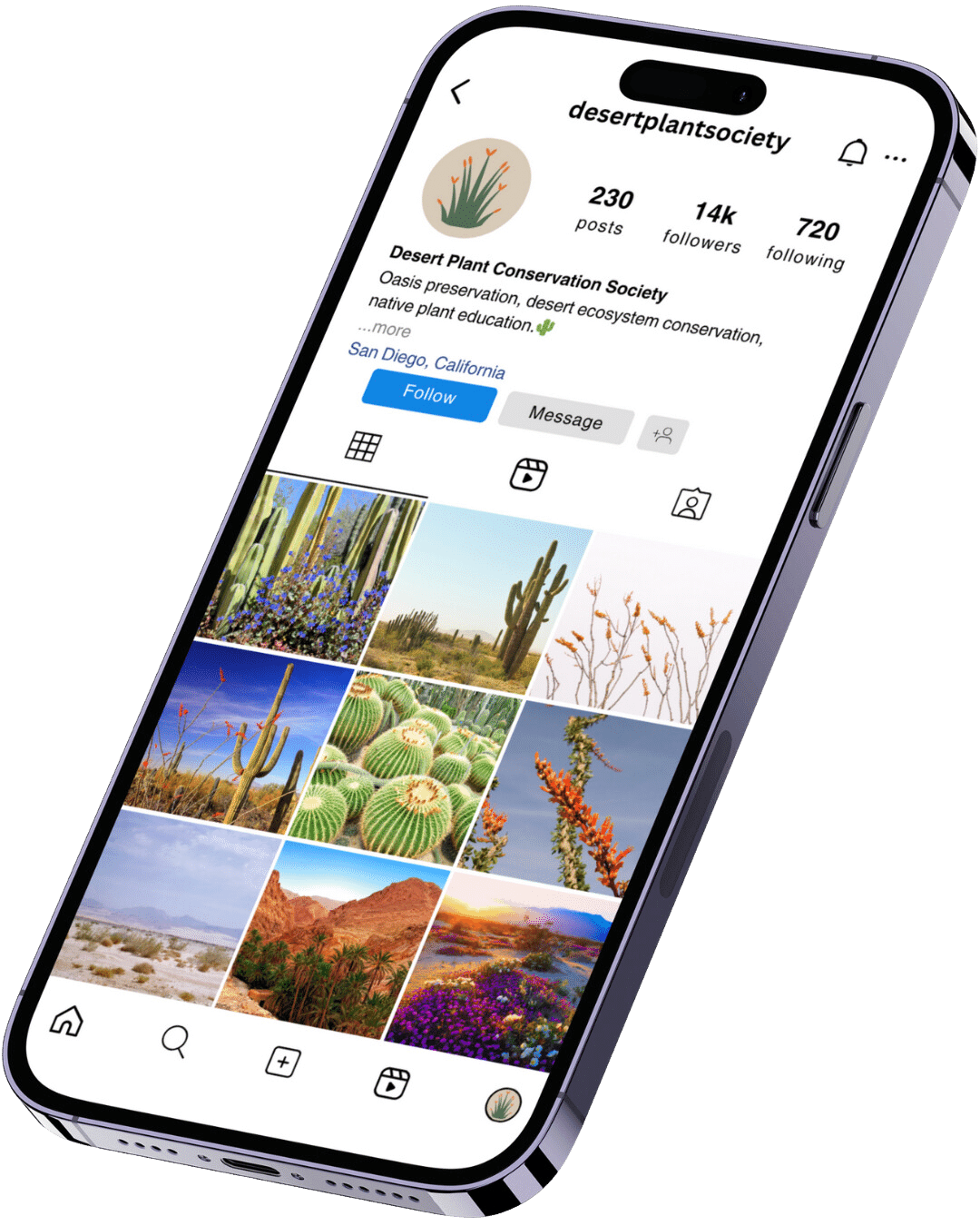 instagram account of desert plant conservation society