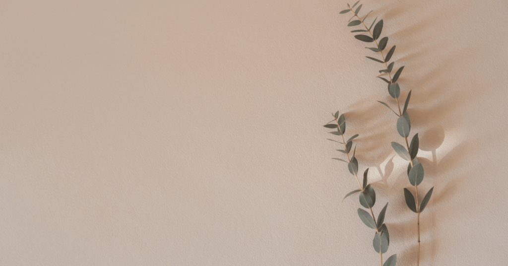 eucalyptus branches sit against neutral background. startup launch checklist blog featured image